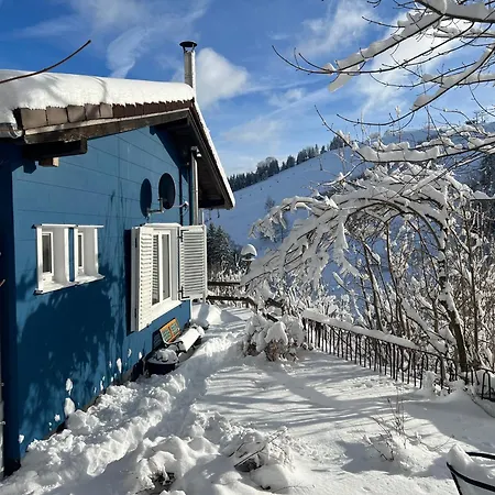 Platell Ferienhausverwaltung Sankt Andreasberg Exterior photo